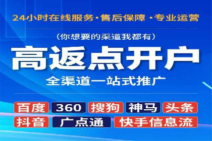 百度竞价广告投放策略案例